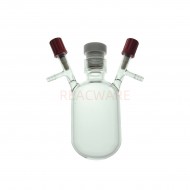 Vacuum Reactor Flask with Thread Joint 2#